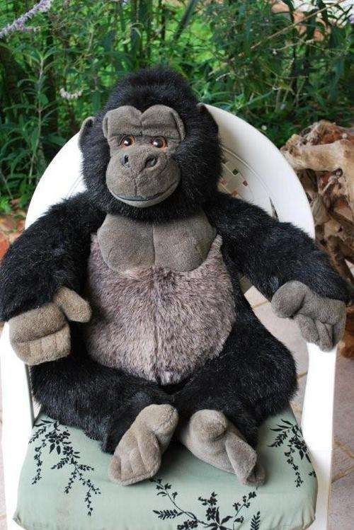 Roland the gorilla