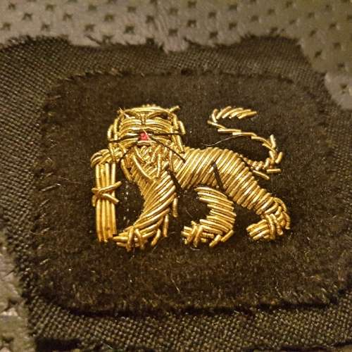 RARE!!! Arm Badges (Regimental Cloth) Princess Of Wales's Royal Regiment (Gold Tiger)