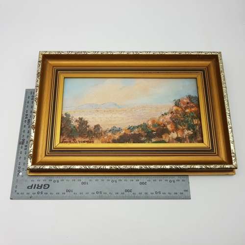 Framed Original Jonie Schoeman Oil on Board SA Landscape!!!!