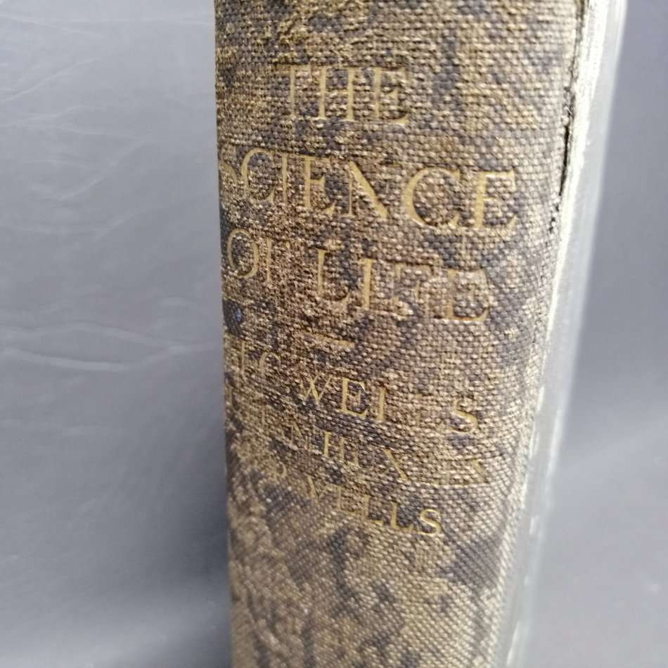RARE!!! Original 1st Edition 1931 The Science of Life by HG Wells