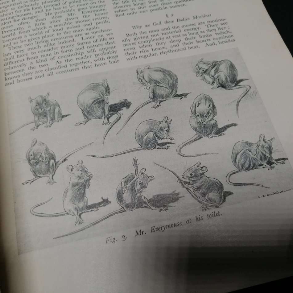 RARE!!! Original 1st Edition 1931 The Science of Life by HG Wells