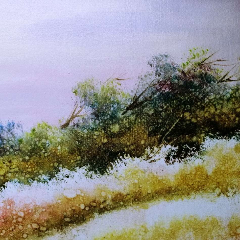 LARGE Original Zeller Oil on Board Landscape Flowers in Bloom!!! (1000mm x 700mm)