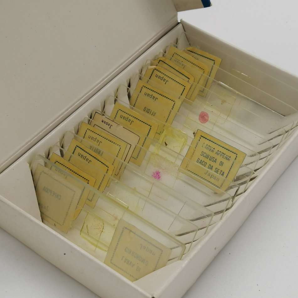 Vintage Boxed Cast Metal Microscope with Original Specimen Plates!!!