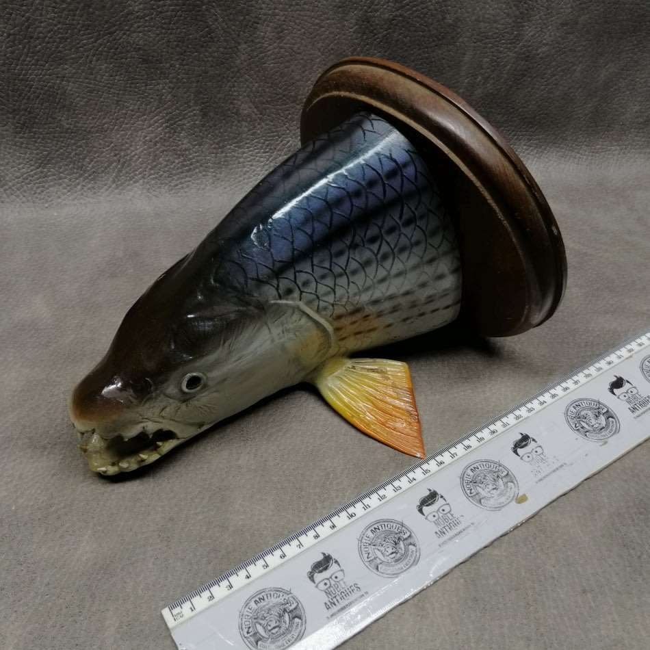 Cool!!! Tiger Fish Taxidermy on Wood Mount!!!