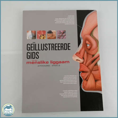 Illustrated Guide To The Human Body!!!