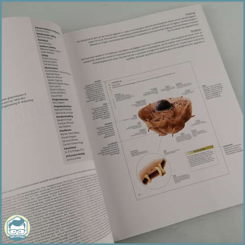 Illustrated Guide To The Human Body!!!