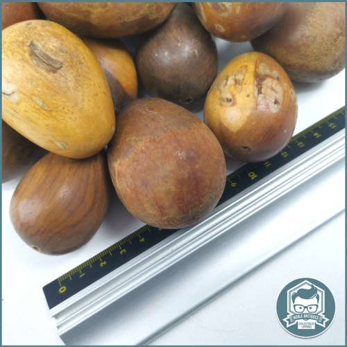 Handcrafted Wooden Egg Collection - 3 to 6 cm Diameter - Bid For all!!!