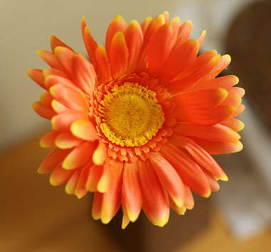 Quality silk flower.7 colors Cosmos.55cm length.1 flower/branch.