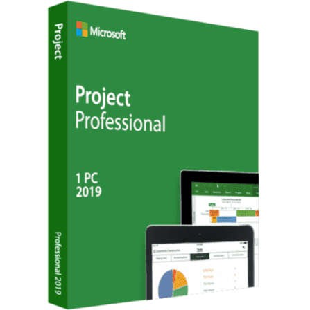 Microsoft Project Professional 2019