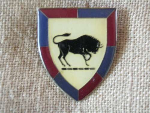 S.A. ARMY COLLEGE FLASH (NO PINS)