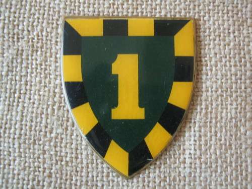 1 S.A.I. FLASH YELLOW (2 PINS)