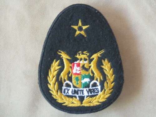 WARENT OFFICER 1st CLASS BADGE (BACKING AS WORN)