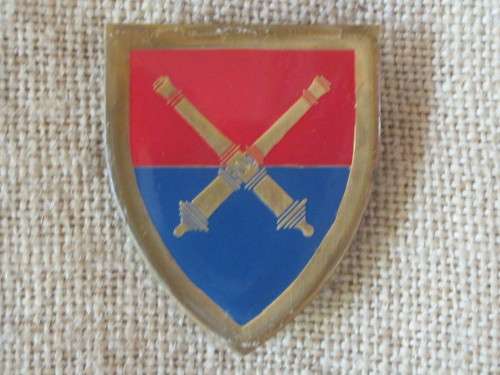 ARTILLERY SCHOOL FLASH (ALL PINS)