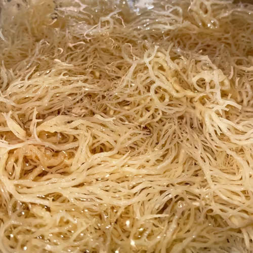 Sea Moss Gel 375ml (100% Pure Full Spectrum Seamoss gel)