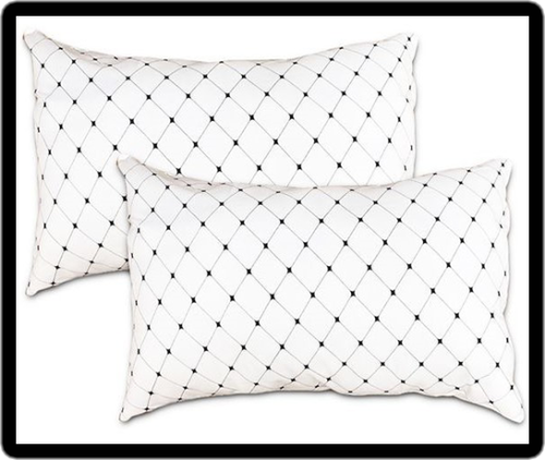 2 Pack Standard Pillows