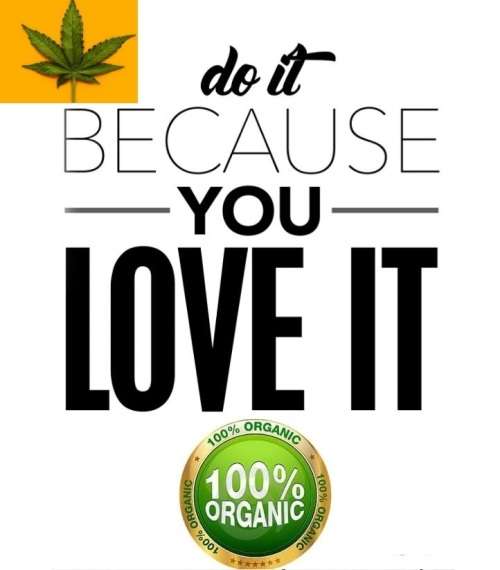 Price Increase 1st June 2020  buy NOW!!- 30 ml Get Baked (GB) CBD Oil - high in THC for Extreme pain