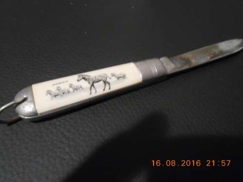 Single blade sheffield made pocket knife