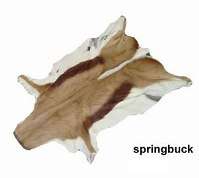 Springbok Hide, Postage Included