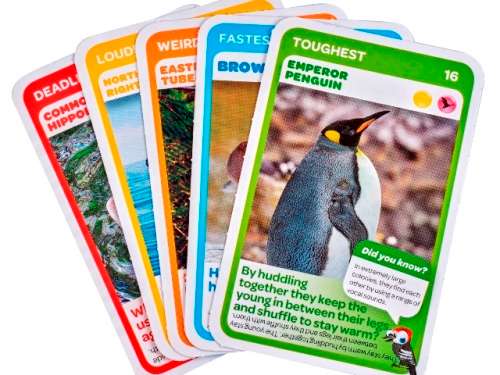 pick & pay animal cards (selling for SCAR animal rescue to raise funds) 760 cards