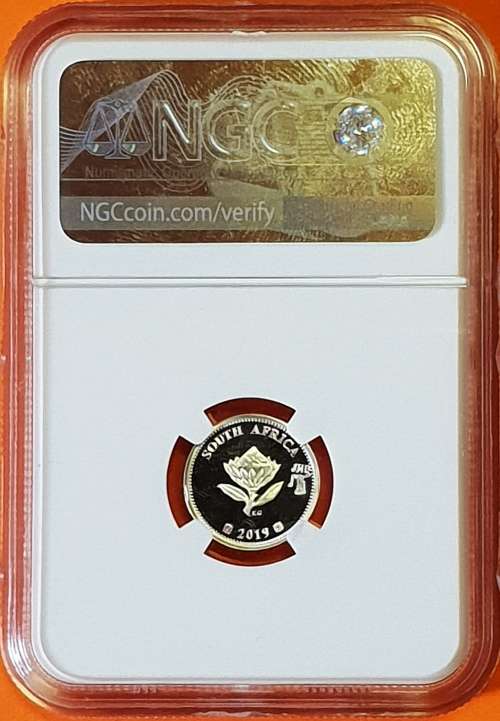 2019******PF69*******JHB COIN SHOW - POLYMER PUTTY - FLYPRESS