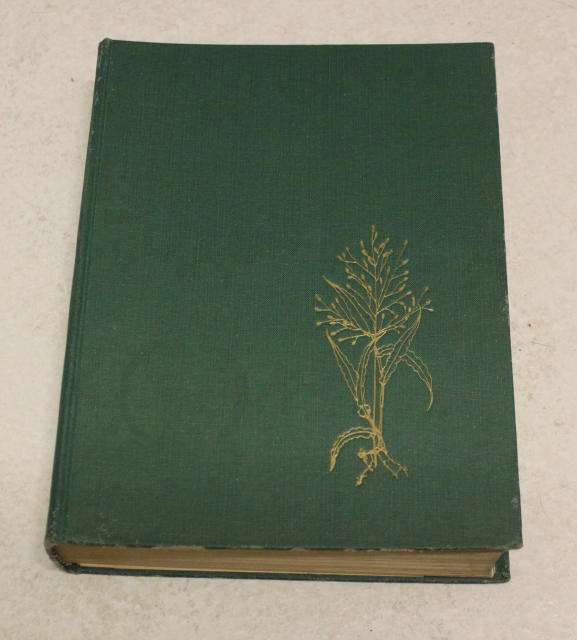 THE GRASSES AND PASTURES OF SOUTH AFRICA