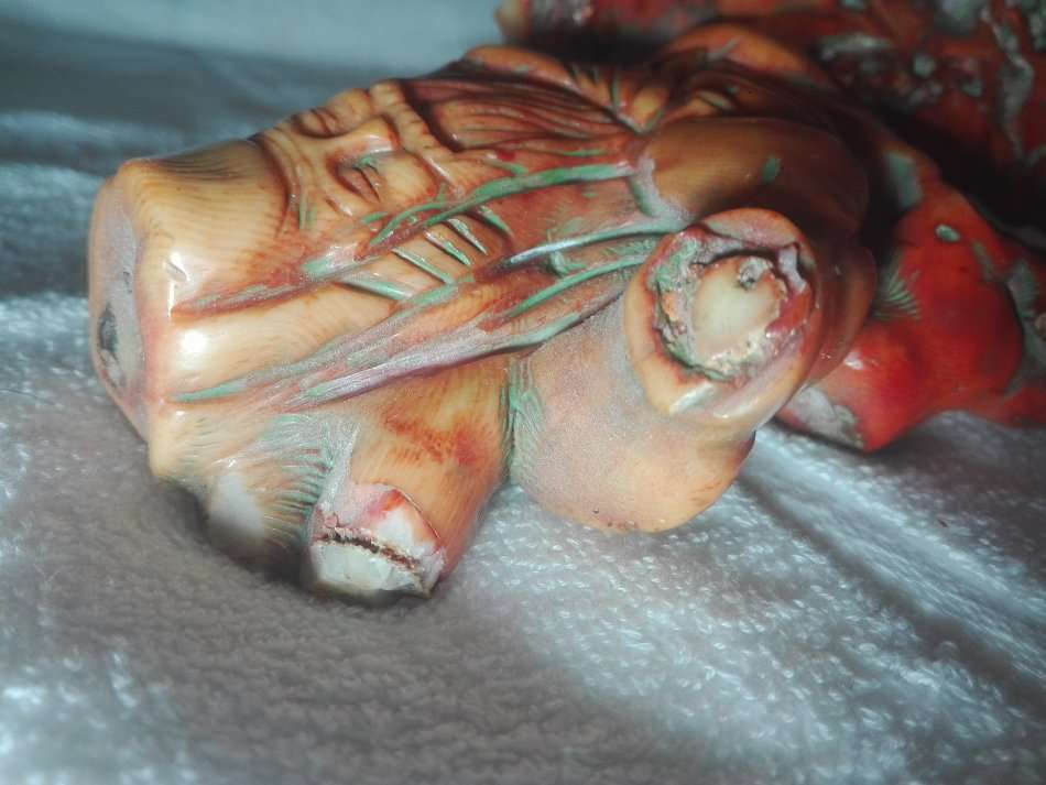 Antique ,Man with money bag.Hand carved Coral  170 x 110  x 80 mm Chinese