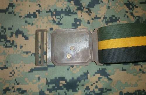 8 SAI Stable Belt