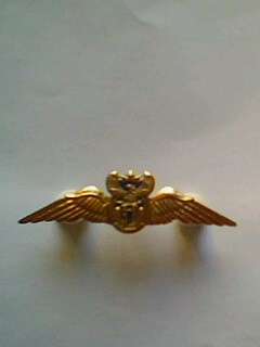 SA Airforce pilot wings metal.