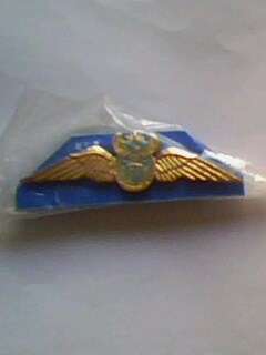 SA Airforce gold pilot wings.