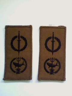 2 Recce swimming qualification badges. Believed to be a copies.