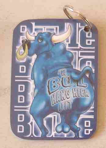 Bul hang hier uit Keyring