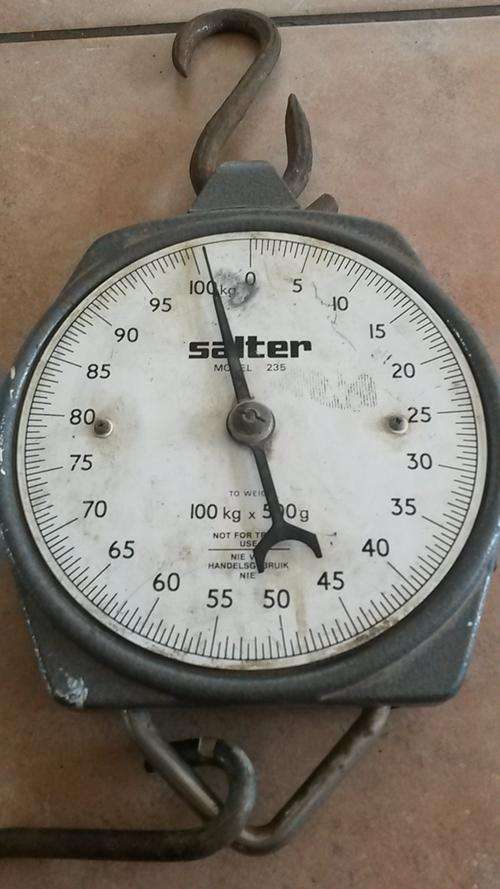 Salter Model 235 100kg x 100g Hanging Scale