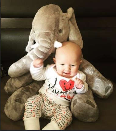 Elephant Plush Pillow