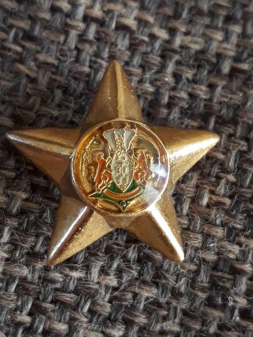 ZP PIP FOR BRIGADIER OR FEMALE RANK (SMALL STAR)