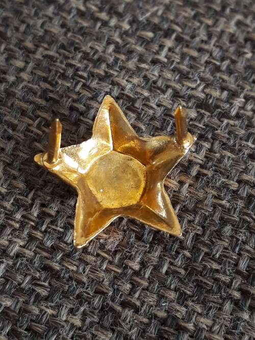 ZP PIP FOR BRIGADIER OR FEMALE RANK (SMALL STAR)