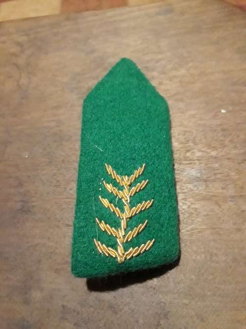 KWAZULU POLICE SENIOR OFFICERS GORGET