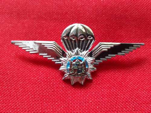 South West Africa Special Task Force Para wing- SCARCE -DINNES1319 AND OWEN C803