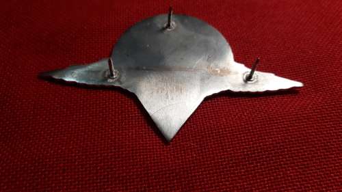 SADF Parachute Battalion metal beret badge (Dinnes 302, Owen C746)