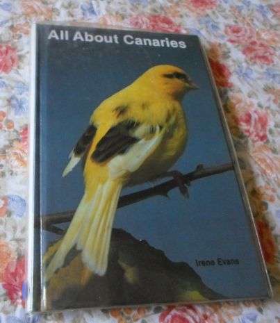 ALL ABOUT CANARIES - IRENE EVANS