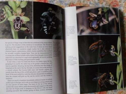 THE PRIVATE LIFE OF PLANTS - DAVID ATTENBOROUGH