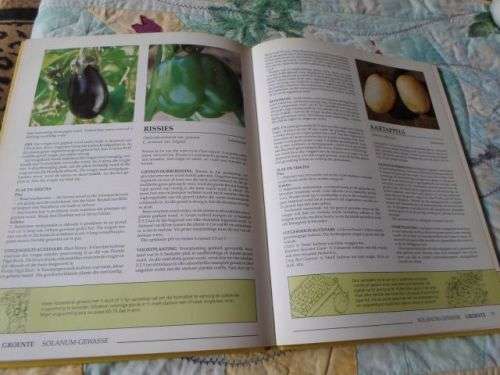 GRONDBEGINSELS VIR DIE KWEEK VAN GROENTE & VRUGTE IN SUID-AFRIKA - ZOE" GILBERT & JACK HADFIELD