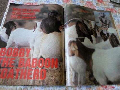 SCOPE MAGAZINE 4 NOVEMBER 1988 (