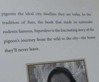 SUPERDOVE - HOW THE PIGEON TOOK MANHATTAN AND THE WORLD - COURTNEY HUMPHRIES