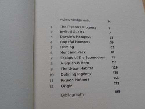 SUPERDOVE - HOW THE PIGEON TOOK MANHATTAN AND THE WORLD - COURTNEY HUMPHRIES