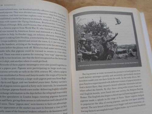 SUPERDOVE - HOW THE PIGEON TOOK MANHATTAN AND THE WORLD - COURTNEY HUMPHRIES