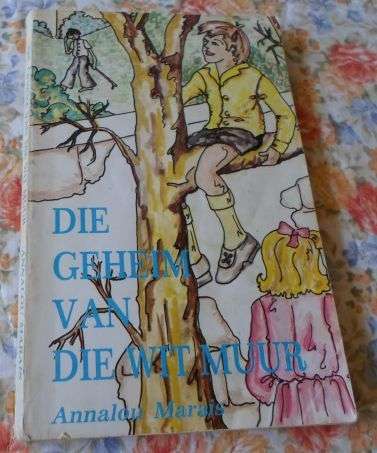 DIE GEHEIM VAN DIE WIT MUUR - ANNALOU MARAIS