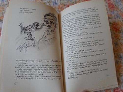 GELUK OP GROENKOPPIE - RUTH TANZARELLA