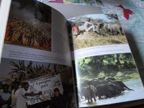 SURVIVOR'S SONG - LIFE AND DEATH IN THE AFRICAN WILDERNESS - DELIA AND MARK OWENS