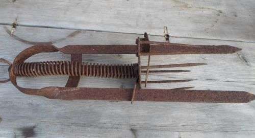 OLD MOLE TRAP
