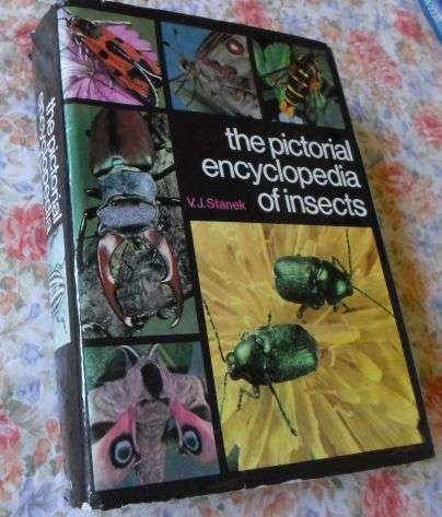THE PICTORIAL ENCYCLOPEDIA OF INSECTS - V.J. STANEK